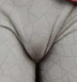 The rare male cameltoe